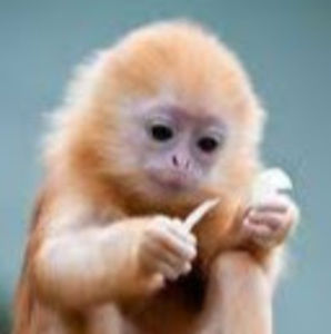 Meet your Posher, Jaden